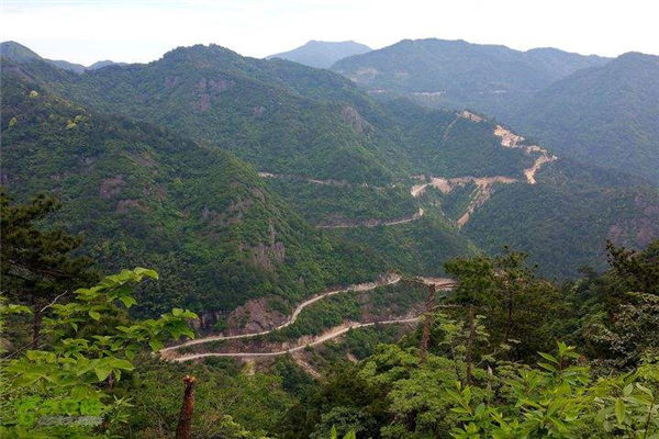 送岑征君归鸣皋山