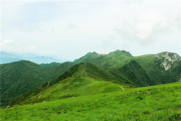 望终南山寄紫阁隐者