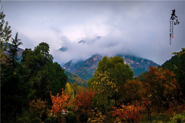 游泰山六首