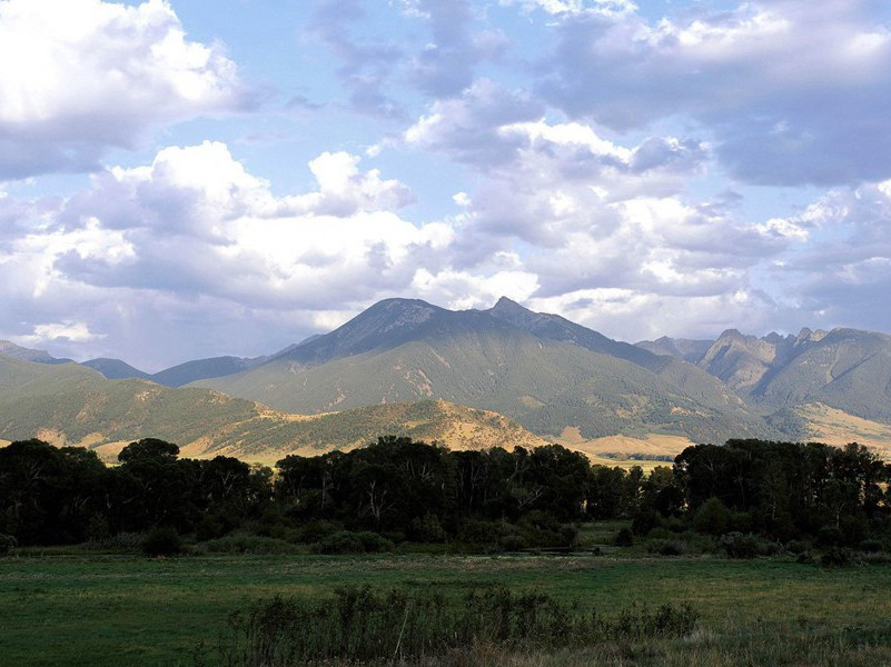 题大,题大庾岭北驿