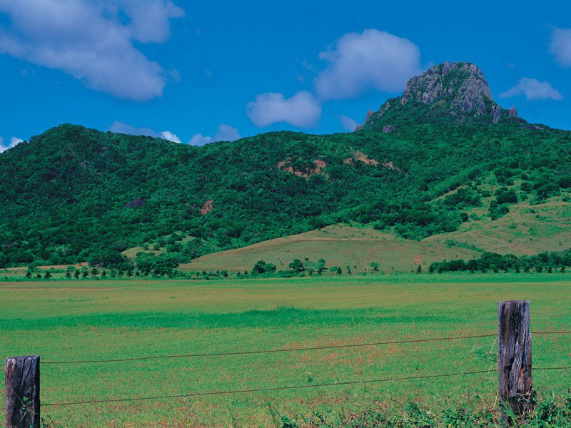 游梁,游梁城