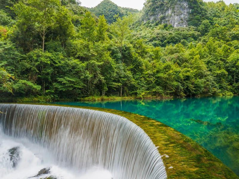 乱点莓苔多莫数,偶粘衣袖久犹香的意思出处诗名赏析