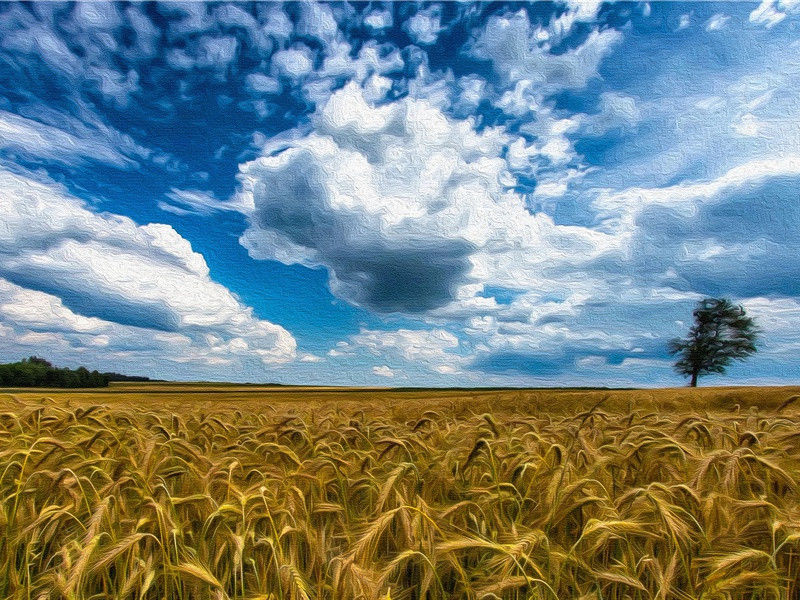 煮海,煮海歌