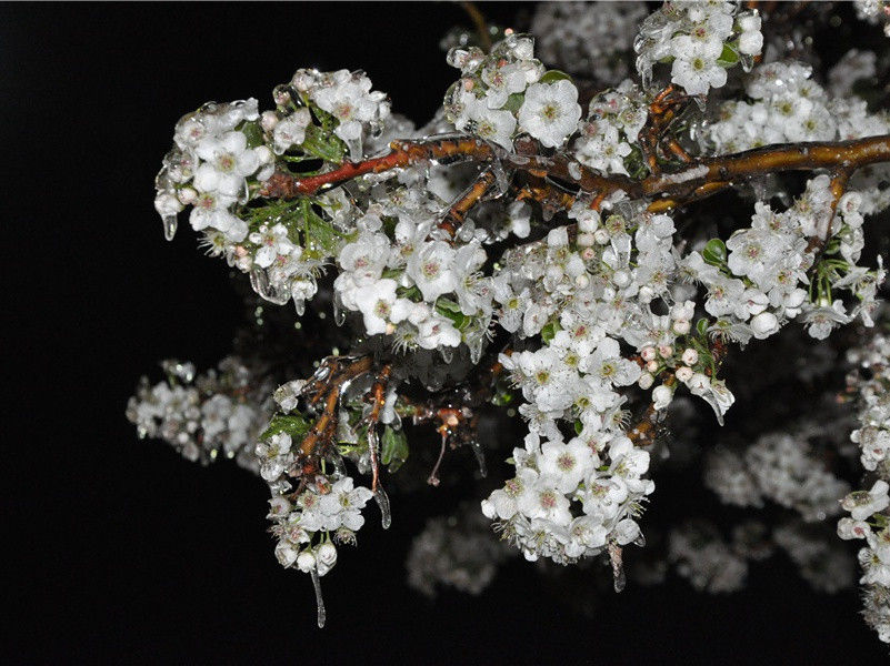 山头堆白雪,风里卷黄沙的意思出处赏析