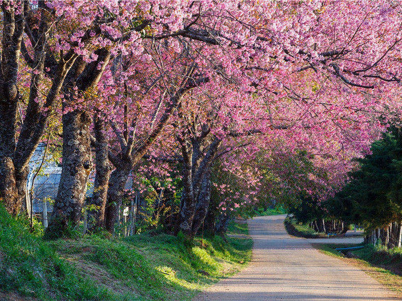 《自江州还入石头》原文赏析-刘峻古诗-南北朝诗歌