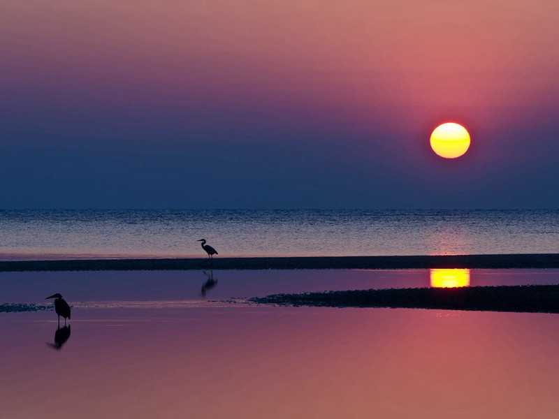 楼观沧海日,门对浙江潮·骆宾王·不曾观光的观光客