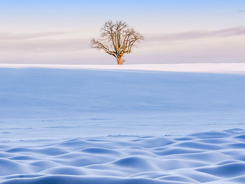 雪望,雪望