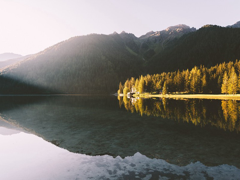 题景,题景苏堂竹