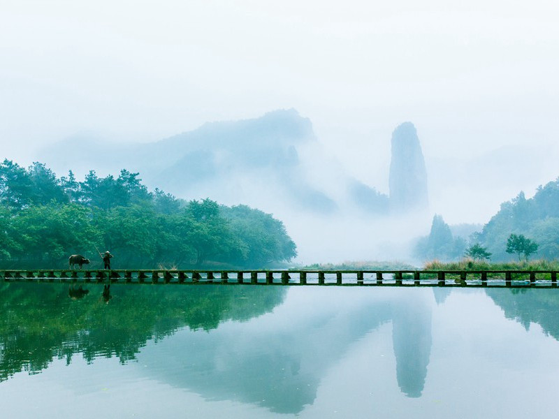 少年听雨歌楼上.红烛昏罗帐的意思出处赏析